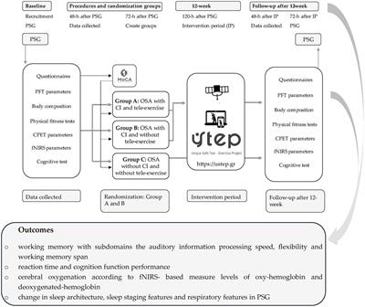 The impact of a 12-week tele-exercise program on cognitive function and cerebral oxygenation in patients with OSA: randomized controlled trial—protocol study